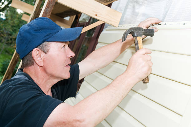 Best Siding Replacement  in Teutopolis, IL